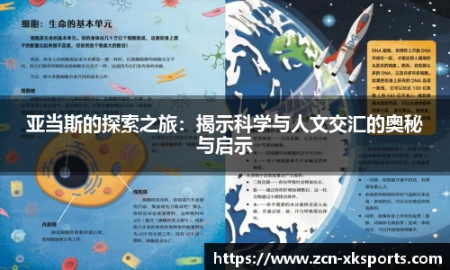 星空体育官网